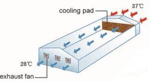 green-house-cooling-0